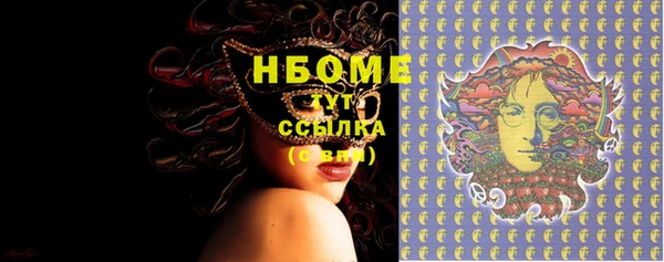 ПСИЛОЦИБИНОВЫЕ ГРИБЫ Вязники