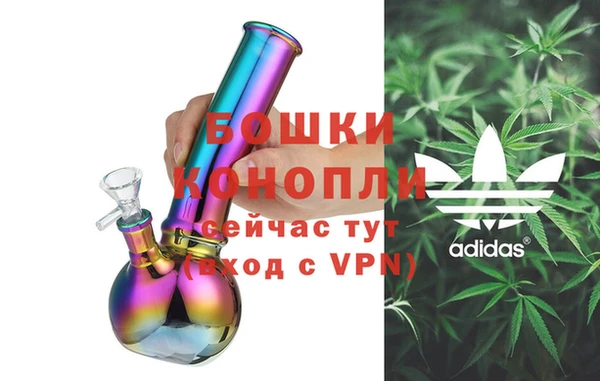 ПСИЛОЦИБИНОВЫЕ ГРИБЫ Вязники