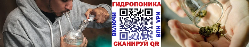 Бошки Шишки Amnesia  Дудинка 